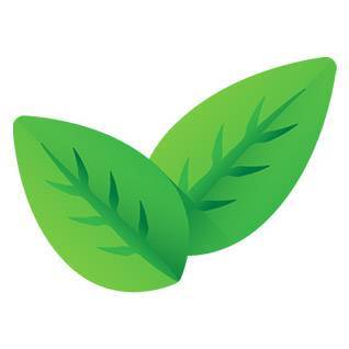 Respect de l'environnement